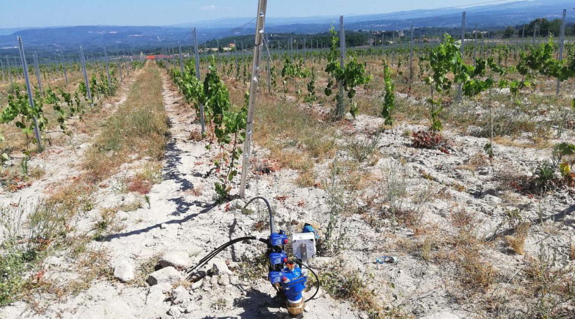 Ahorra Nuestra Agua Instalando Riego por Goteo 